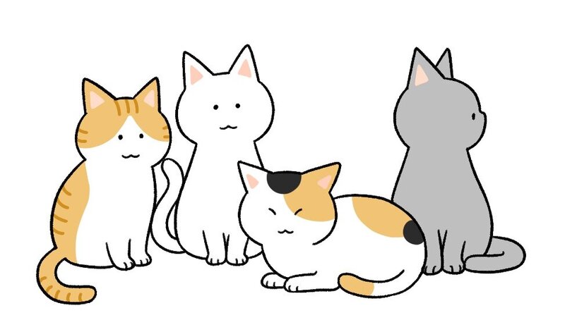 【ブログ】我が家のcat’s