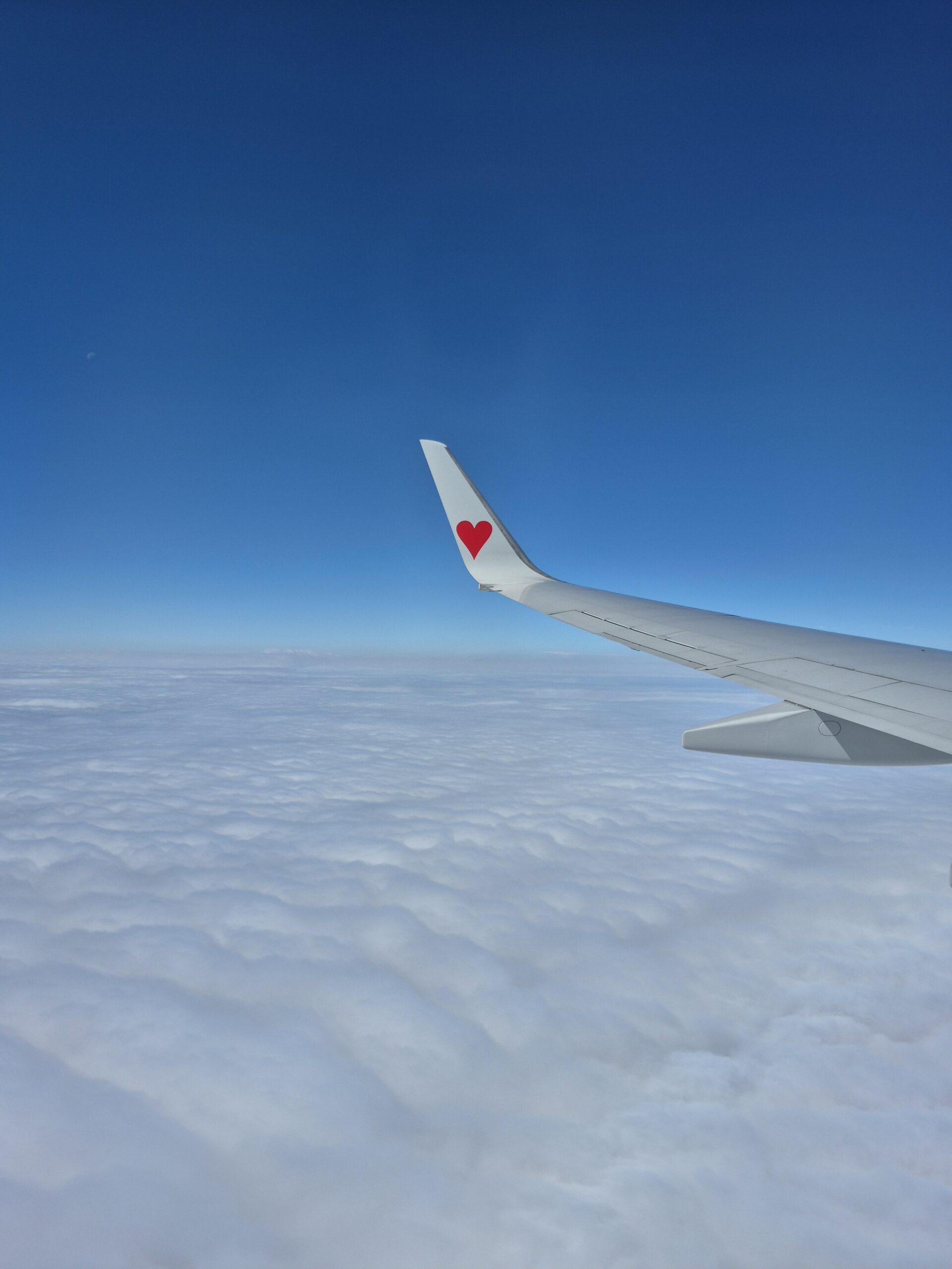 【ブログ】飛行機の窓から
